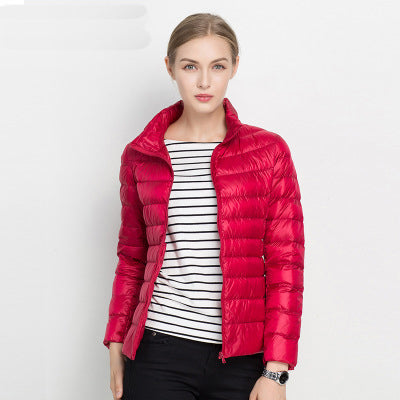 Womens Zip Front Quilted Jacket